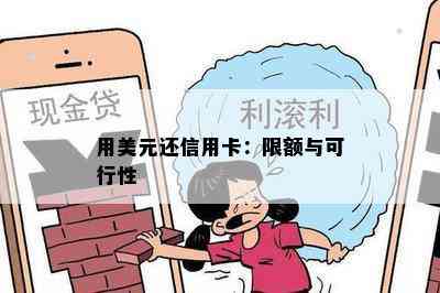 用美元还信用卡：限额与可行性