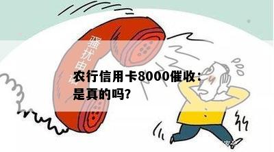 农行信用卡8000：是真的吗？