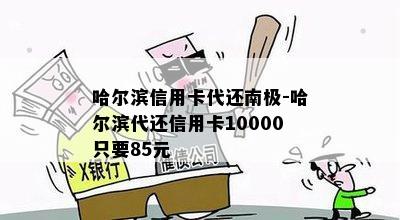 哈尔滨信用卡代还南极-哈尔滨代还信用卡10000只要85元