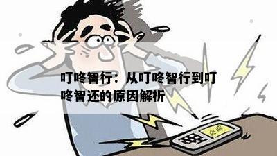 叮咚智行：从叮咚智行到叮咚智还的原因解析