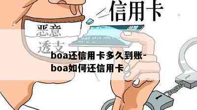 boa还信用卡多久到账-boa如何还信用卡