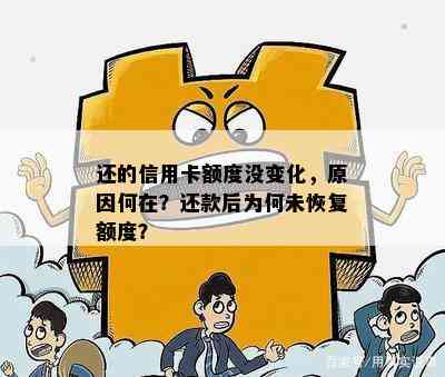 还的信用卡额度没变化，原因何在？还款后为何未恢复额度？