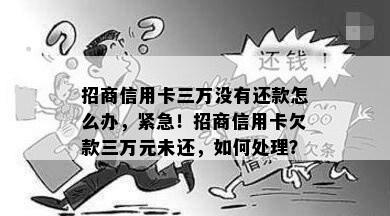 招商信用卡三万没有还款怎么办，紧急！招商信用卡欠款三万元未还，如何处理？