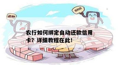 农行如何绑定自动还款信用卡？详细教程在此！