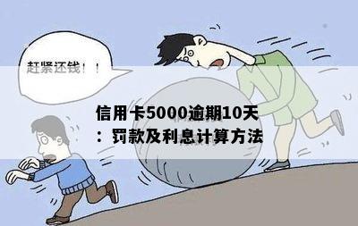 信用卡5000逾期10天：罚款及利息计算方法