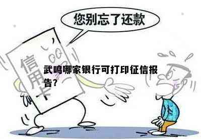 武鸣哪家银行可打印报告？