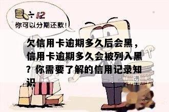 欠信用卡逾期多久后会黑，信用卡逾期多久会被列入黑？你需要了解的信用记录知识