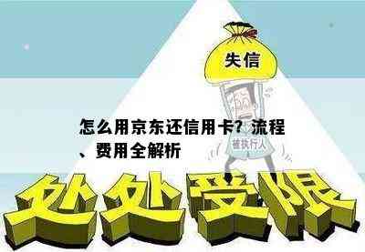 怎么用京东还信用卡？流程、费用全解析