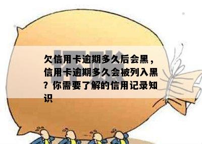 欠信用卡逾期多久后会黑，信用卡逾期多久会被列入黑？你需要了解的信用记录知识