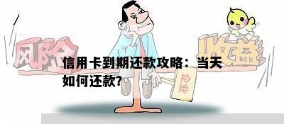 信用卡到期还款攻略：当天如何还款？