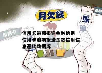 信用卡逾期报送金融信用-信用卡逾期报送金融信用信息基础数据库