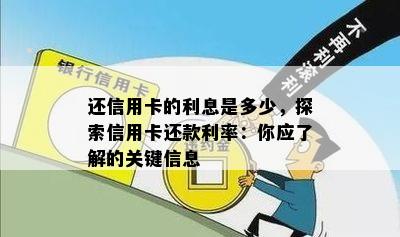 还信用卡的利息是多少，探索信用卡还款利率：你应了解的关键信息