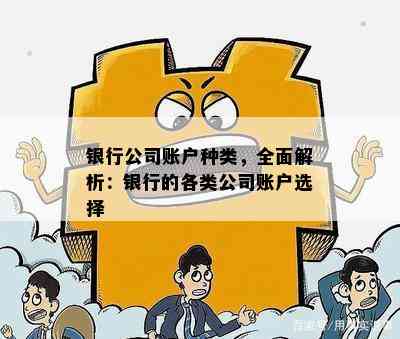 银行公司账户种类，全面解析：银行的各类公司账户选择