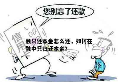 融只还本金怎么还，如何在融中只归还本金？