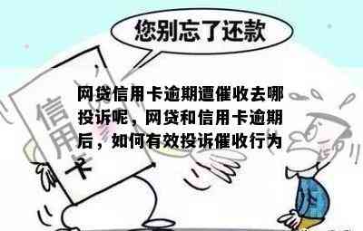 网贷信用卡逾期遭去哪投诉呢，网贷和信用卡逾期后，如何有效投诉行为？