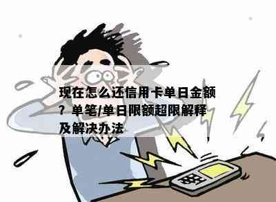 现在怎么还信用卡单日金额？单笔/单日限额超限解释及解决办法