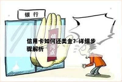 信用卡如何还美金？详细步骤解析