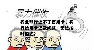 农业银行还不了信用卡，农行信用卡还款问题：无法按时偿还？