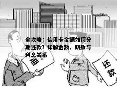 全攻略：信用卡金额如何分期还款？详解金额、期数与利息关系