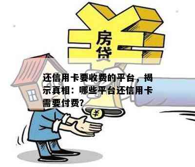 还信用卡要收费的平台，揭示真相：哪些平台还信用卡需要付费？