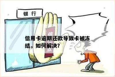 信用卡逾期还款导致卡被冻结，如何解决？