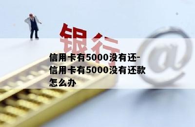 信用卡有5000没有还-信用卡有5000没有还款怎么办