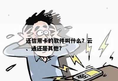 还信用卡的软件叫什么？云、通还是其他？