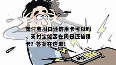 支付宝周日还信用卡可以吗，支付宝能否在周日还信用卡？答案在这里！