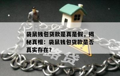 袋鼠钱包贷款是真是假，揭秘真相：袋鼠钱包贷款是否真实存在？