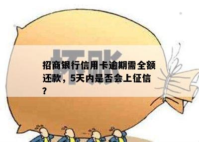 招商银行信用卡逾期需全额还款，5天内是否会上？