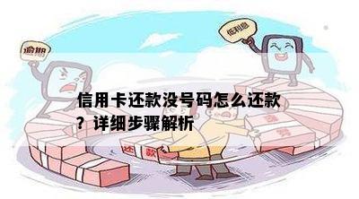 信用卡还款没号码怎么还款？详细步骤解析