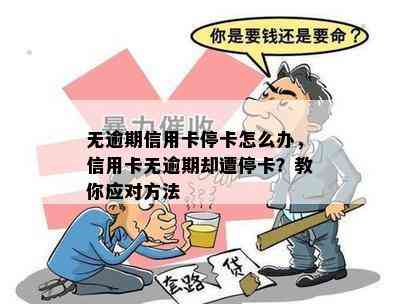 无逾期信用卡停卡怎么办，信用卡无逾期却遭停卡？教你应对方法