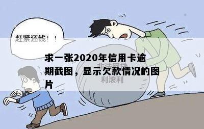 求一张2020年信用卡逾期截图，显示欠款情况的图片