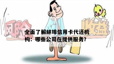 全面了解蚌埠信用卡代还机构：哪些公司在提供服务？