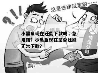 小黑鱼现在还能下款吗，急用钱？小黑鱼现在是否还能正常下款？