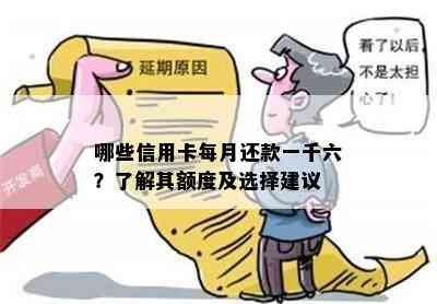 哪些信用卡每月还款一千六？了解其额度及选择建议