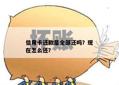 信用卡还款是全部还吗？现在怎么还？