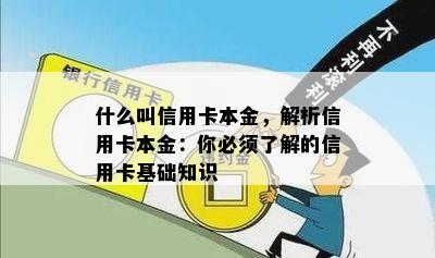 什么叫信用卡本金，解析信用卡本金：你必须了解的信用卡基础知识