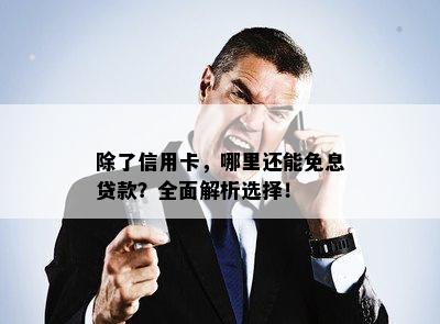 除了信用卡，哪里还能免息贷款？全面解析选择！