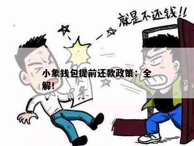 小象钱包提前还款政策：全解！