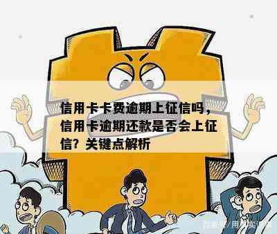 信用卡卡费逾期上吗，信用卡逾期还款是否会上？关键点解析