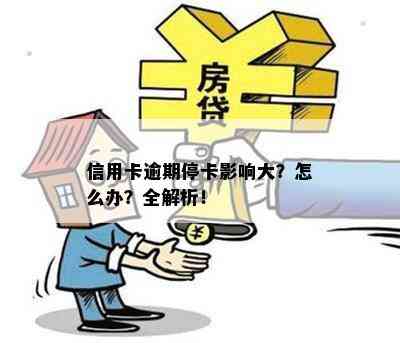 信用卡逾期停卡影响大？怎么办？全解析！