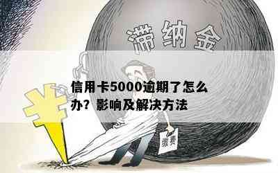 信用卡5000逾期了怎么办？影响及解决方法