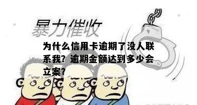 为什么信用卡逾期了没人联系我？逾期金额达到多少会立案？