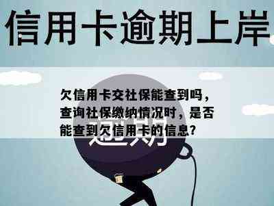 欠信用卡交社保能查到吗，查询社保缴纳情况时，是否能查到欠信用卡的信息？