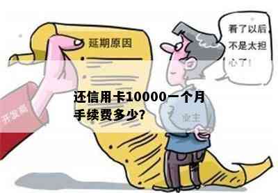 还信用卡10000一个月手续费多少？