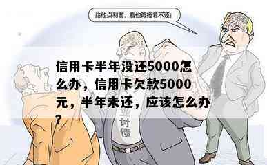 信用卡半年没还5000怎么办，信用卡欠款5000元，半年未还，应该怎么办？