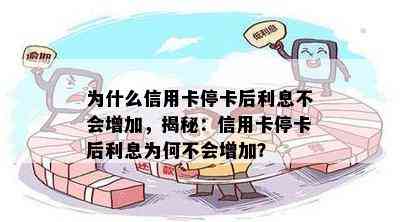 为什么信用卡停卡后利息不会增加，揭秘：信用卡停卡后利息为何不会增加？