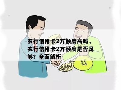 农行信用卡2万额度高吗，农行信用卡2万额度是否足够？全面解析