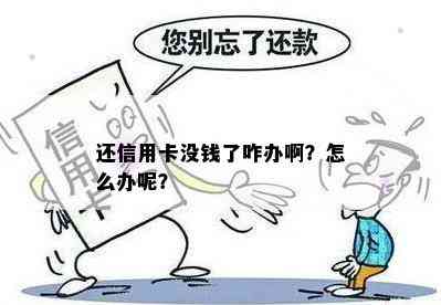 还信用卡没钱了咋办啊？怎么办呢？